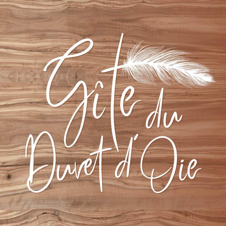 LOGO GITE DU DUVET DOIE
